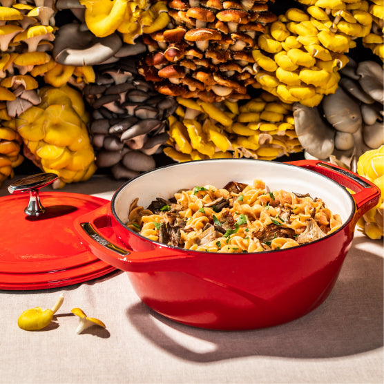 Lodge Castiron - USA Enamel Cast Iron Dutch Oven - Image 15